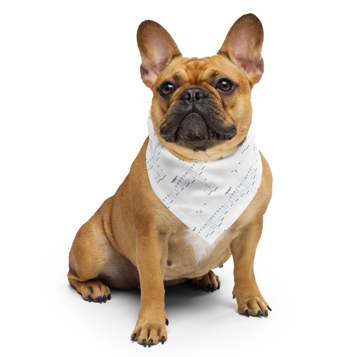 Blueprint Bandana
