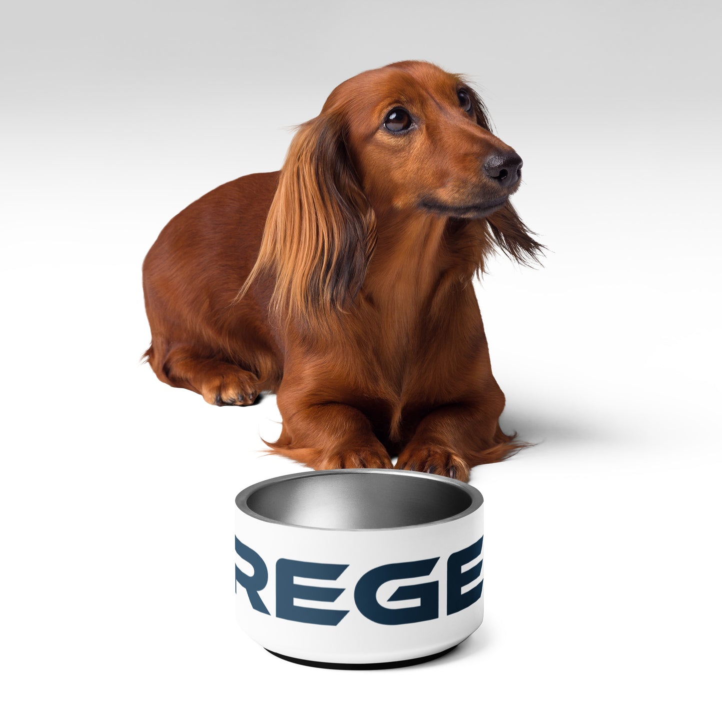 Pet Bowl