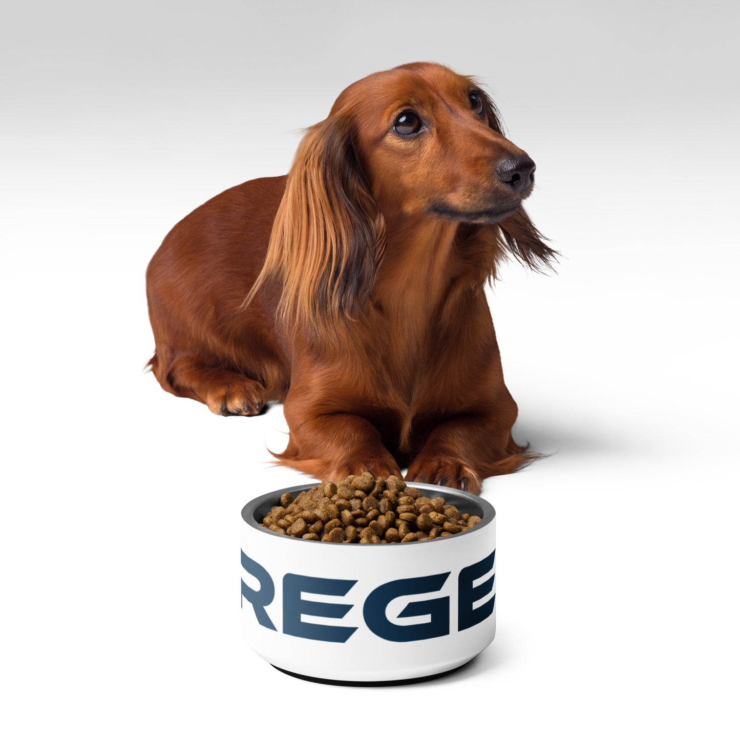 Pet Bowl
