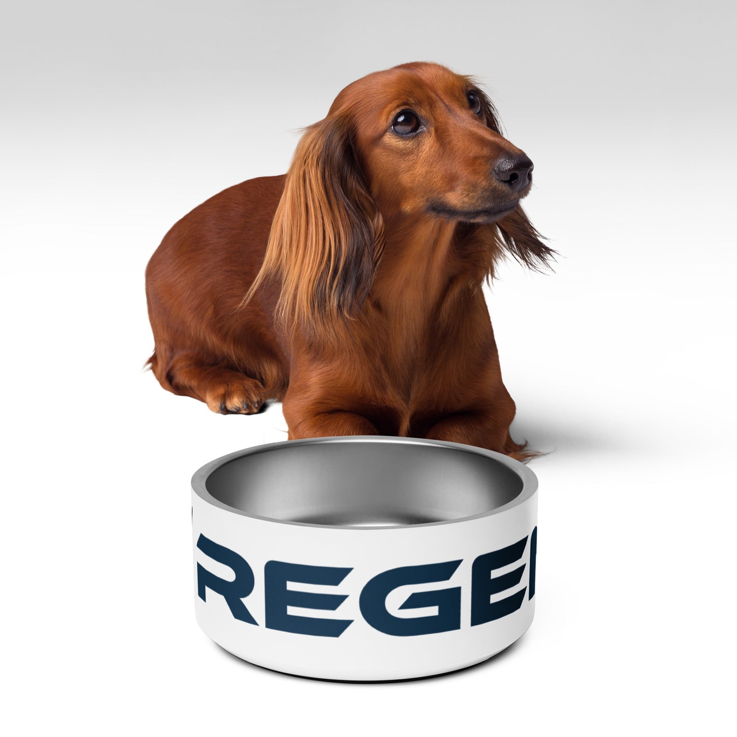 Pet Bowl