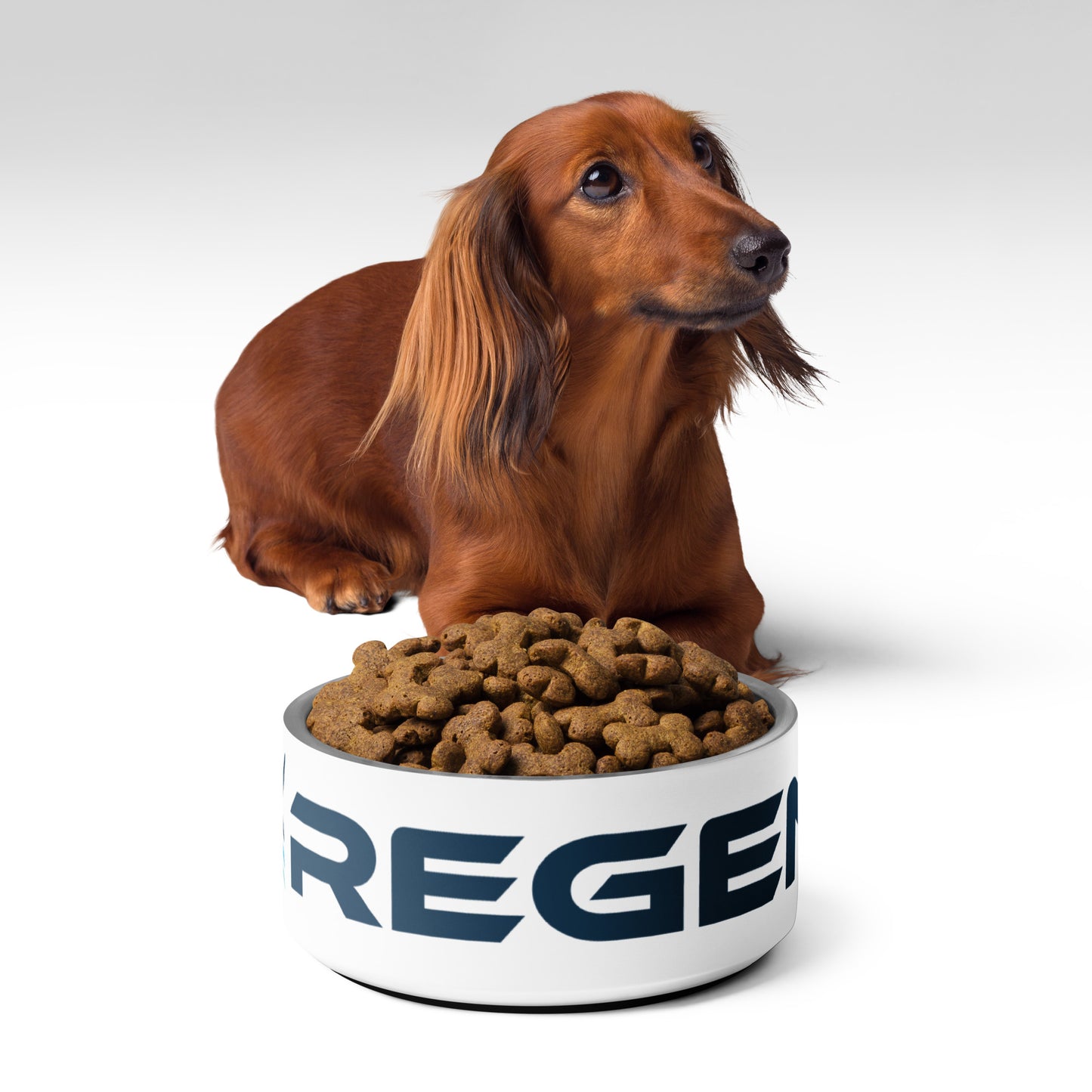 Pet Bowl