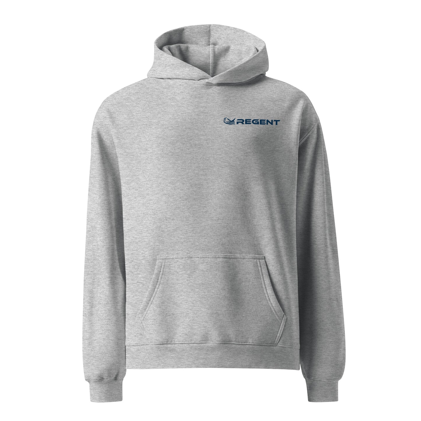Rhode Island Viceroy Unisex Oversized Hoodie