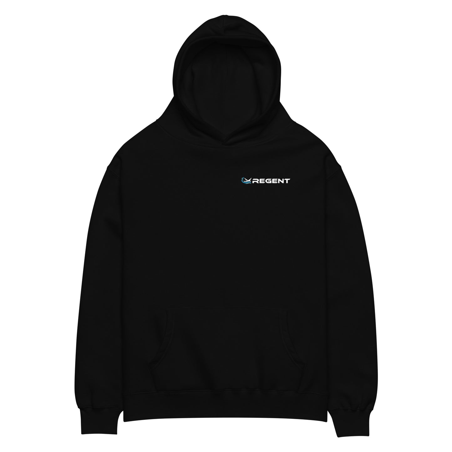 Rhode Island Viceroy Unisex Oversized Hoodie