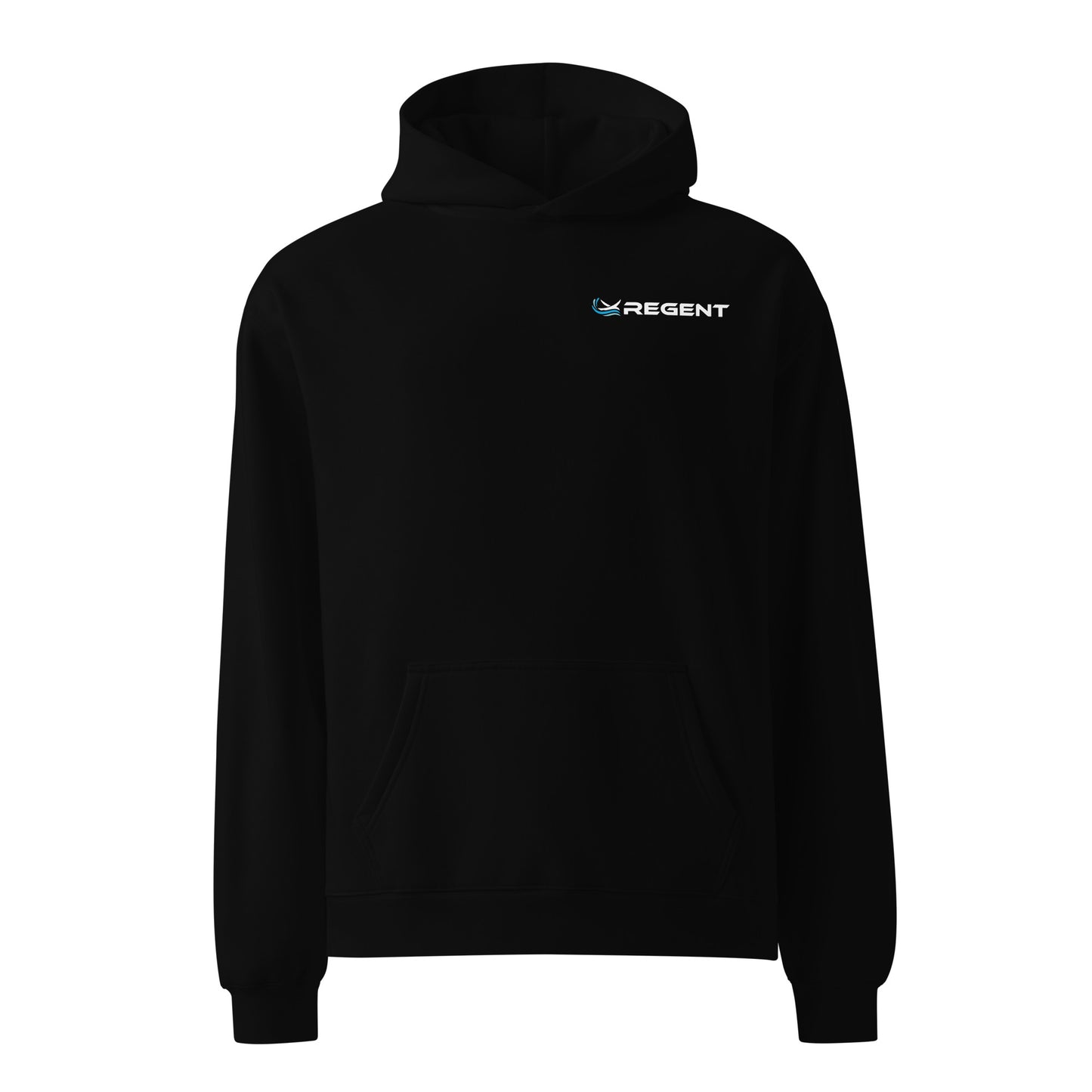 Rhode Island Viceroy Unisex Oversized Hoodie